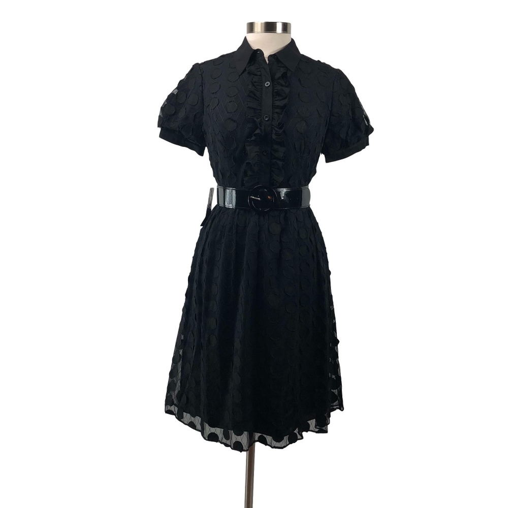 Adrianna Papell Polka Dot Lace Dress